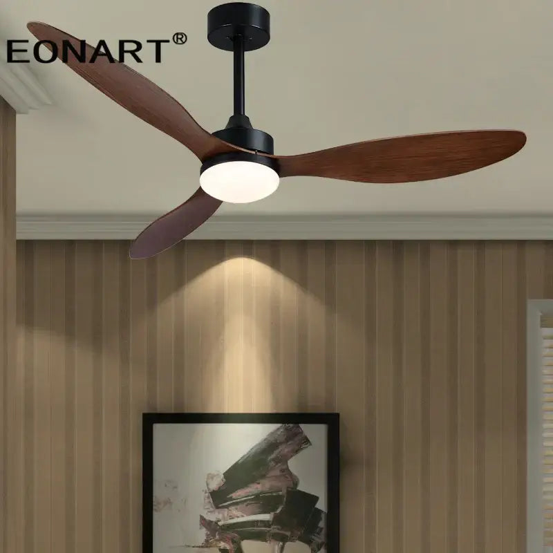 Black Plastic Ceiling Fan