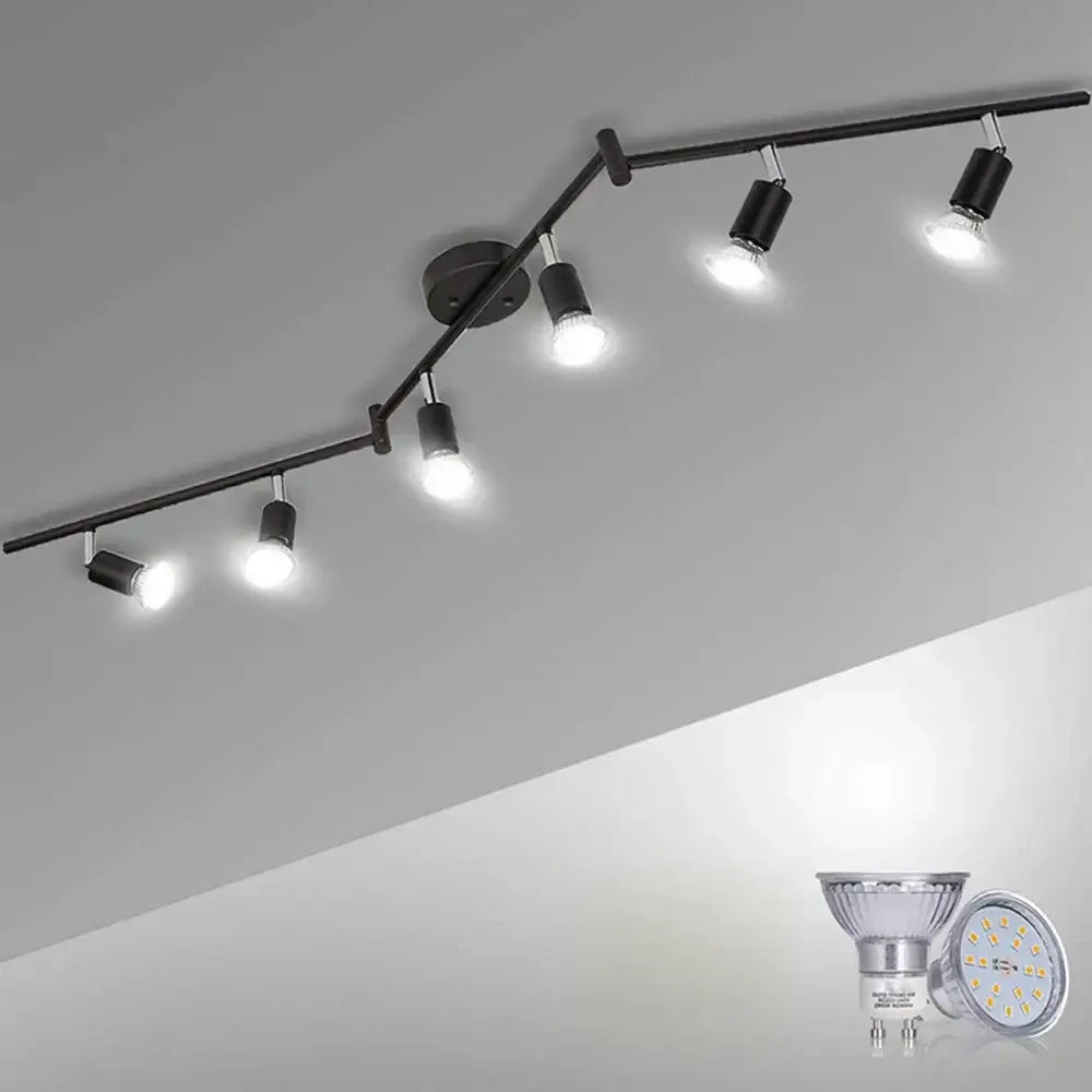 Black Metal Spot Light