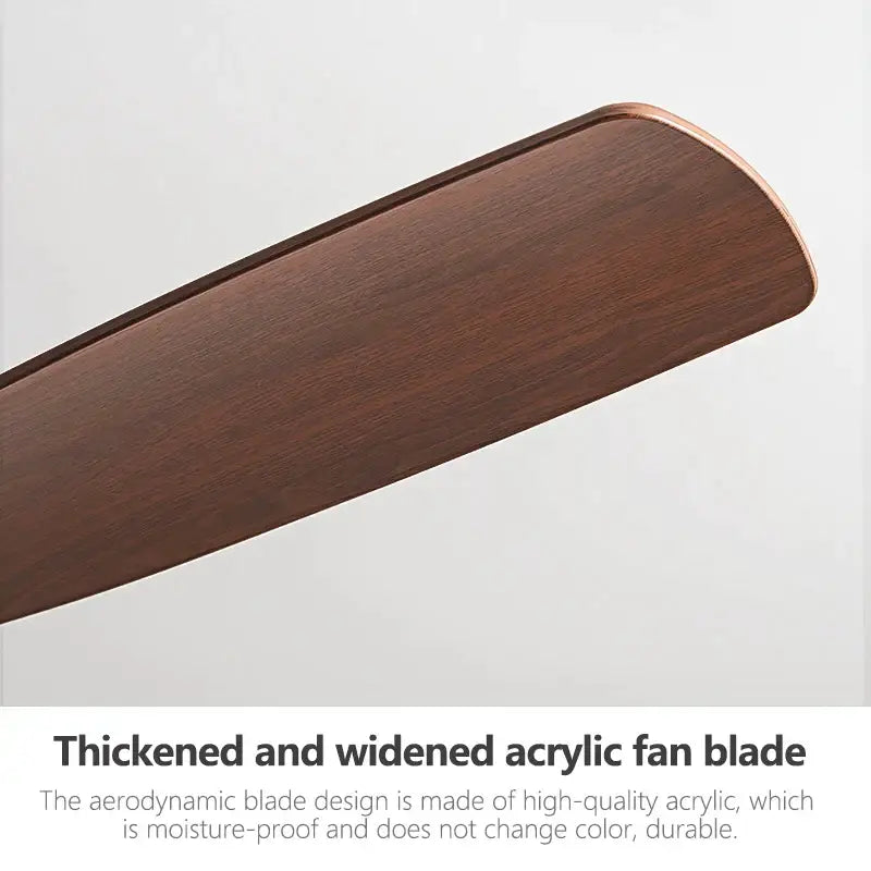 Black Walnut Floor Fan Light