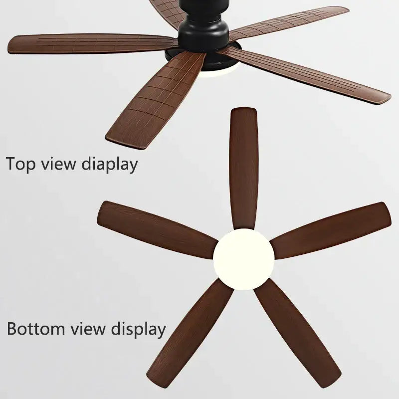 Black Walnut Floor Fan Light