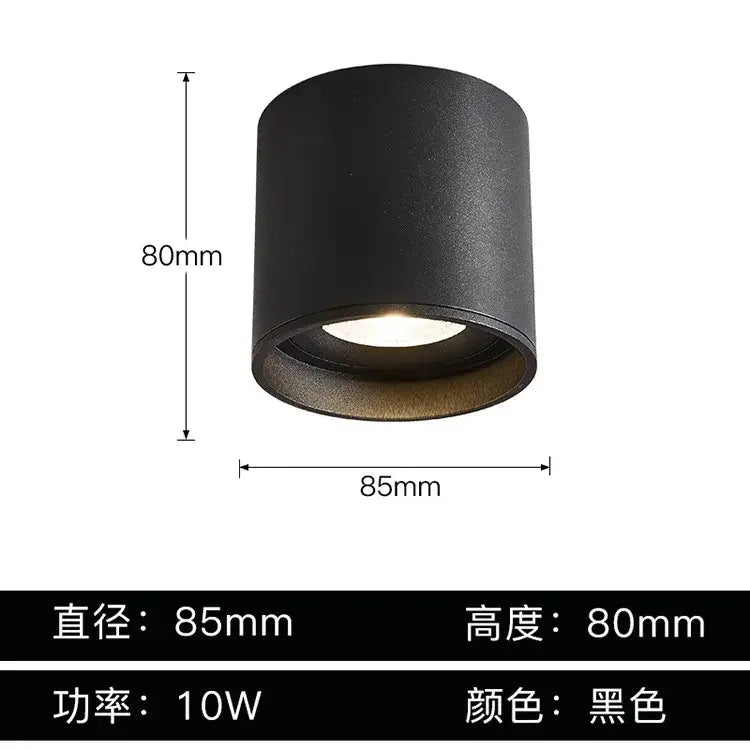 Black Aluminum Ceiling Lamp