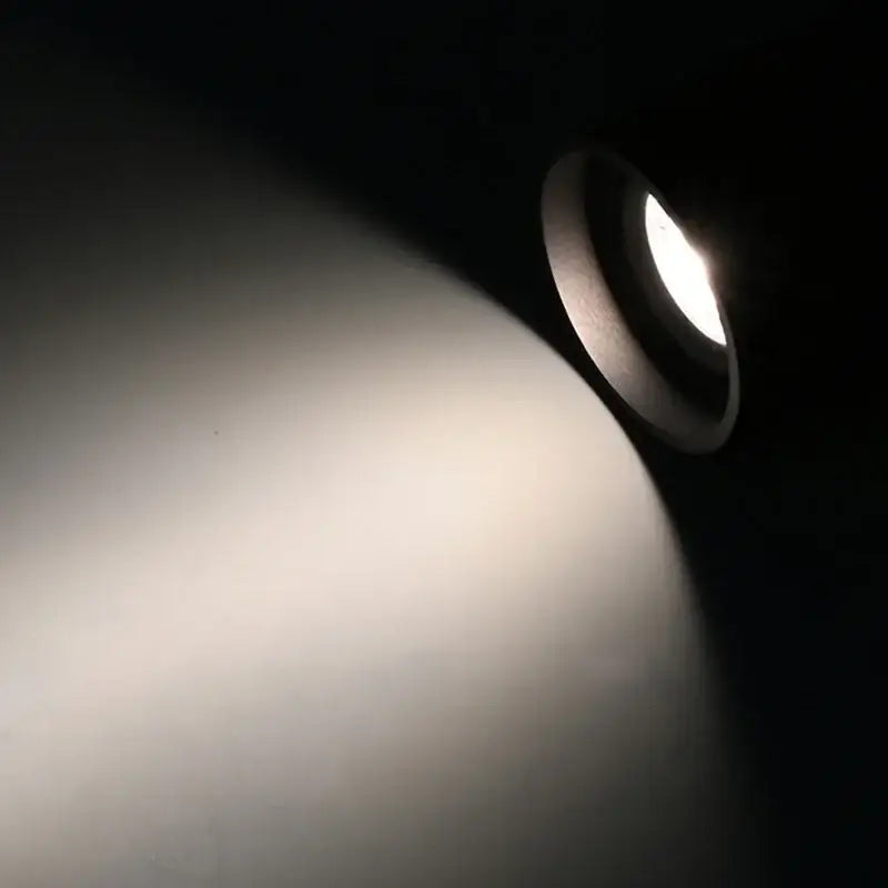 Black Aluminum Ceiling Lamp