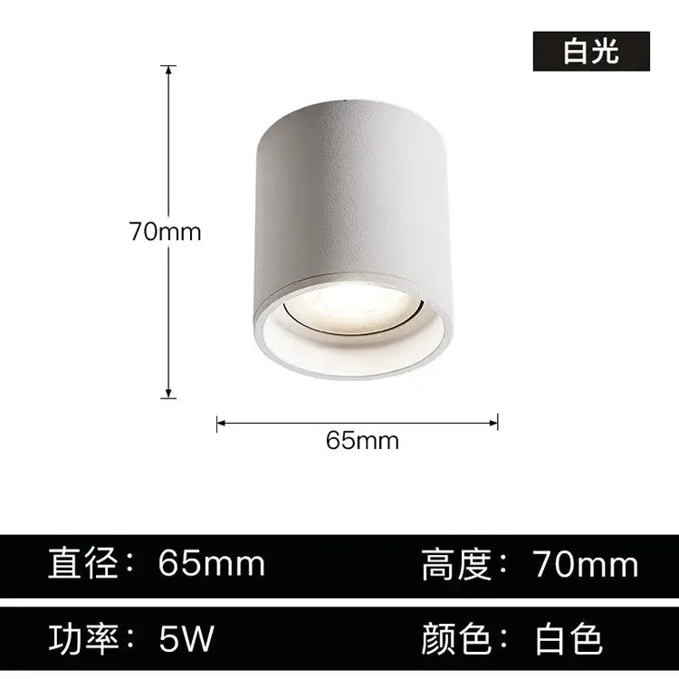 Black Aluminum Ceiling Lamp