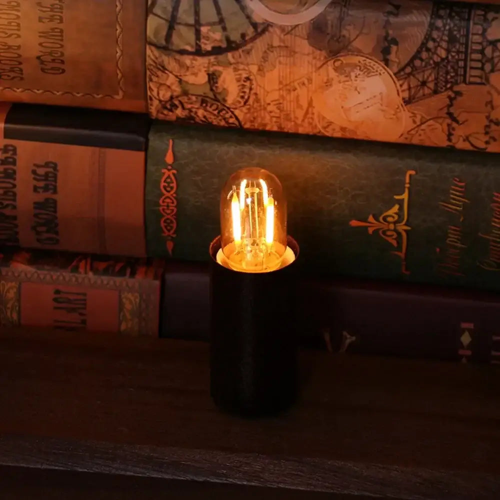 Amber Glass Warm LED Bulbs