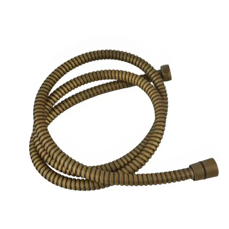 Antique Brass Shower Hose