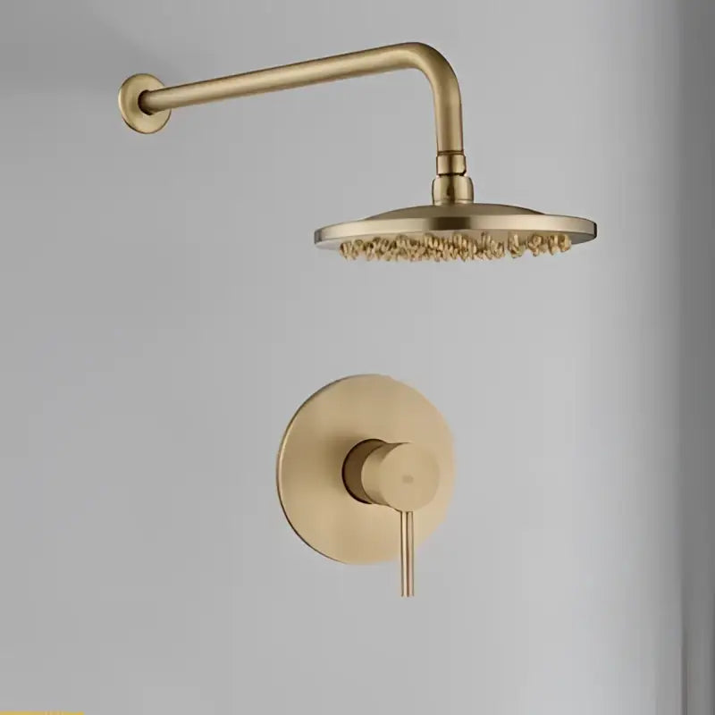 Brass Handheld Shower Kit 10-Inch