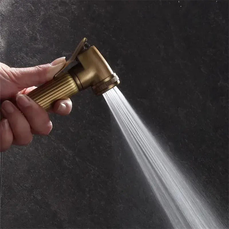 Antique Bronze Bidet Sprayer