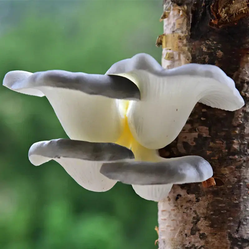 Artificial Mushroom Tree Decor
