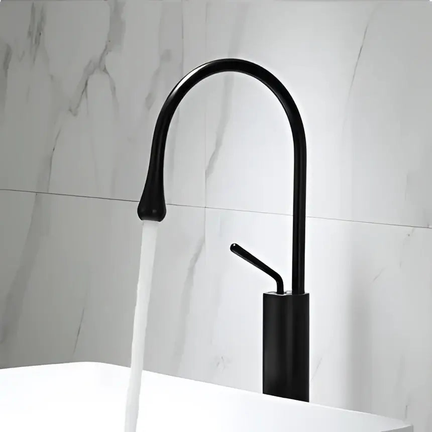 Black Gold Kitchen Faucet Swivel Design