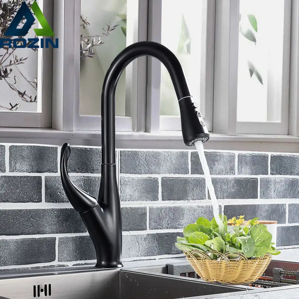 Matte Black Pull-Down Faucet