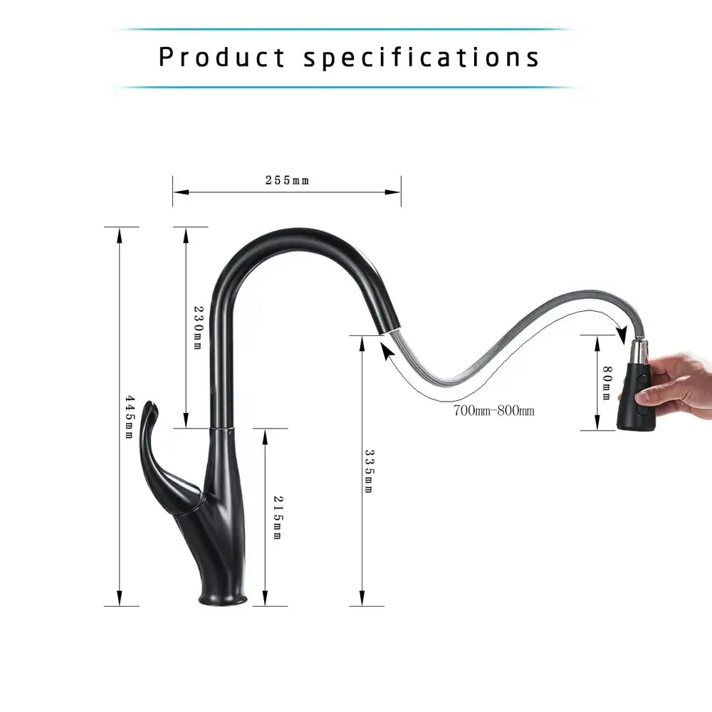 Matte Black Pull-Down Faucet