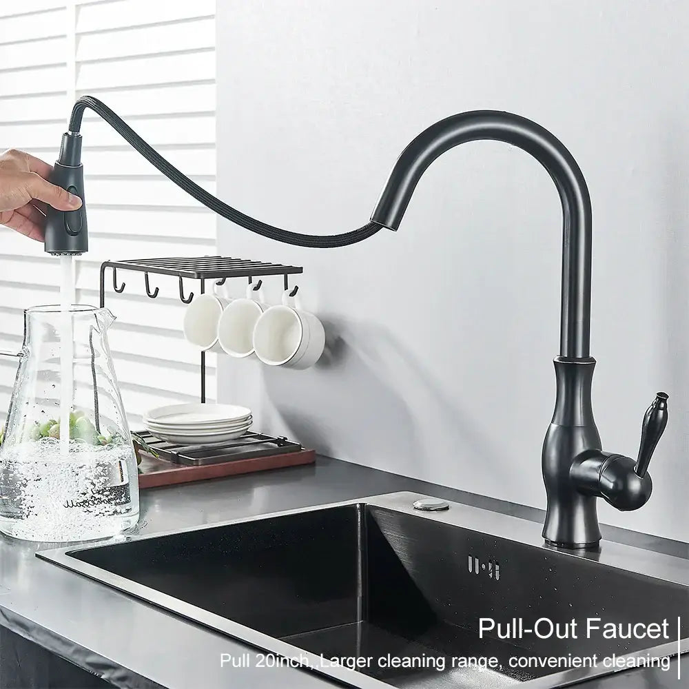 Black Pull-Down Spray Faucet
