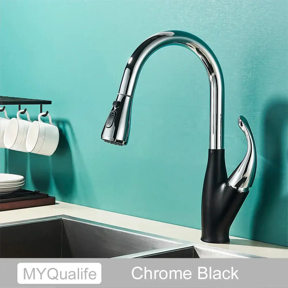 Black Pull-Down Spray Faucet