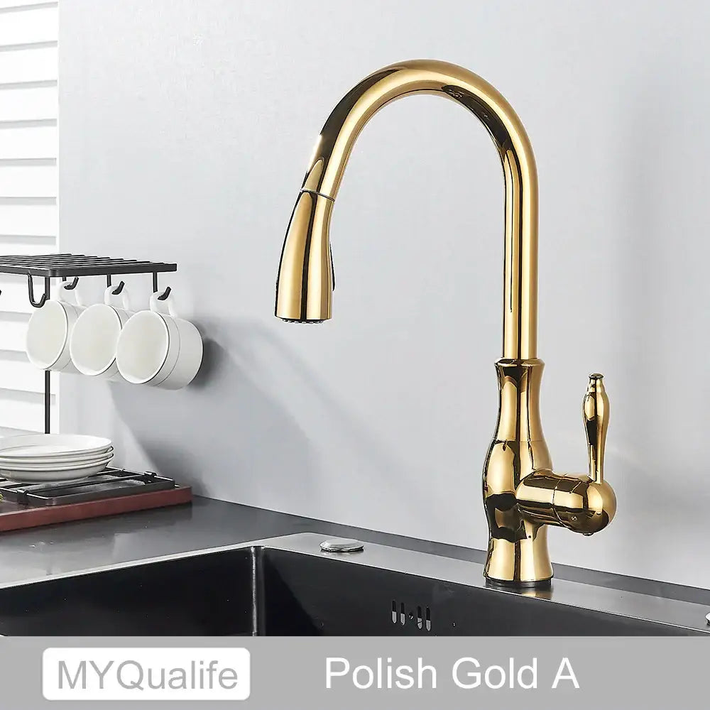 Black Pull-Down Spray Faucet