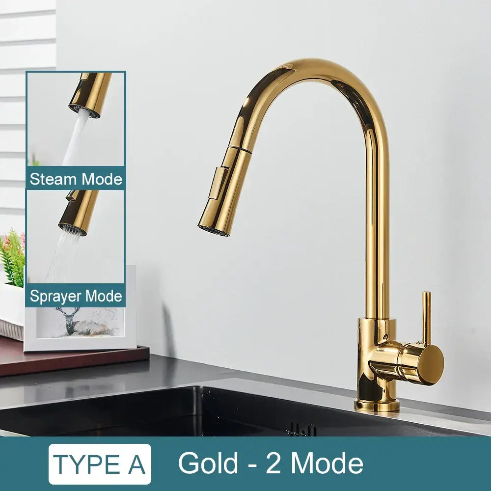 Black Pull-Out Mixer Faucet