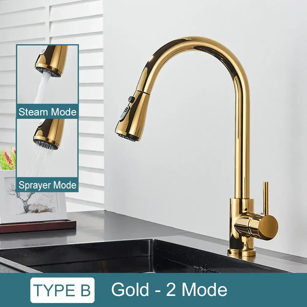 Black Pull-Out Mixer Faucet