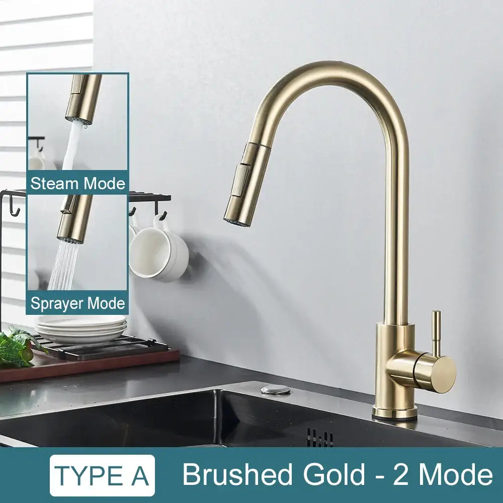 Black Pull-Out Mixer Faucet