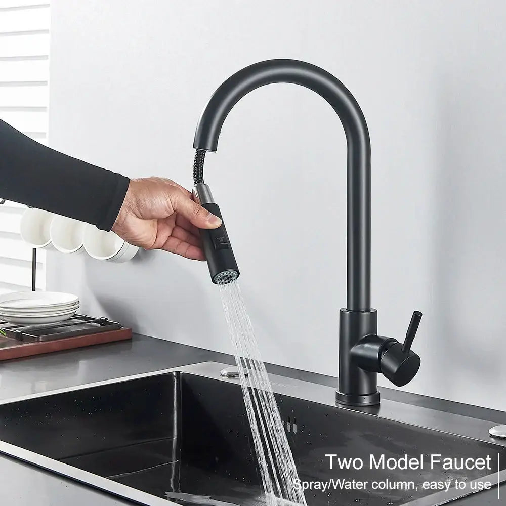 Black Pull-Out Mixer Faucet