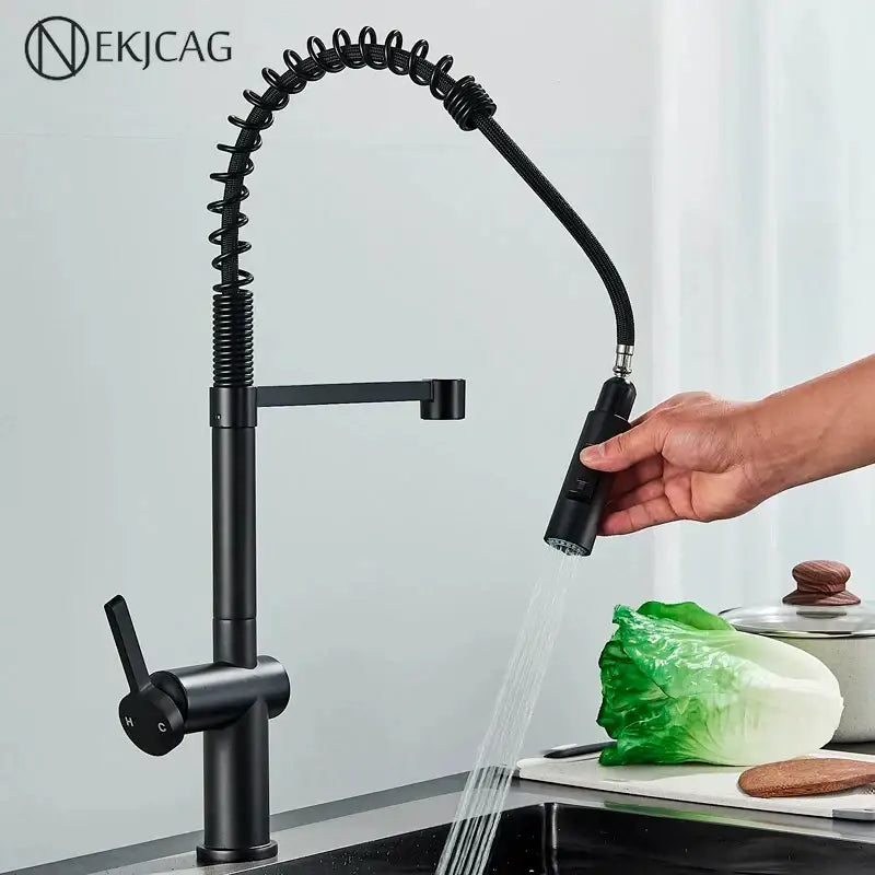 Black Coiled Sprayer Faucet