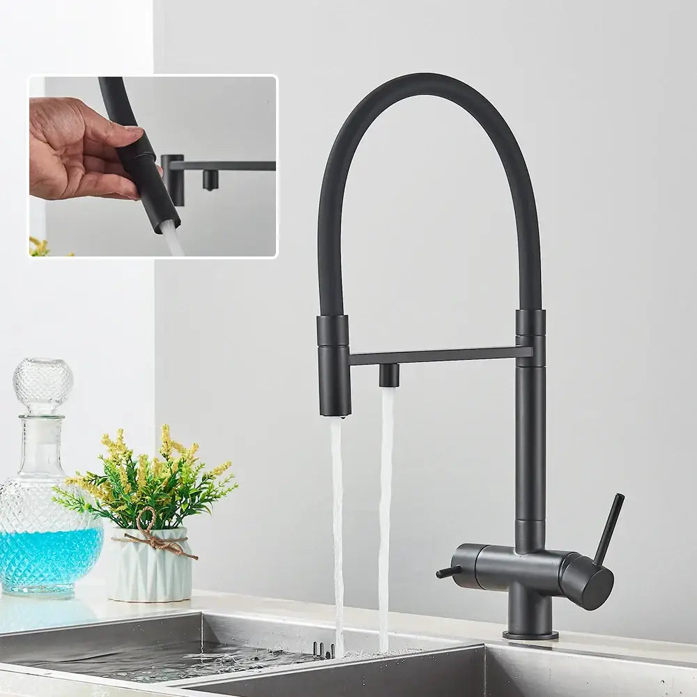 Matte Black Purifier Faucet