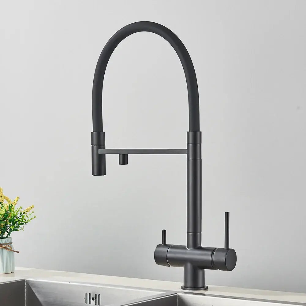 Matte Black Purifier Faucet