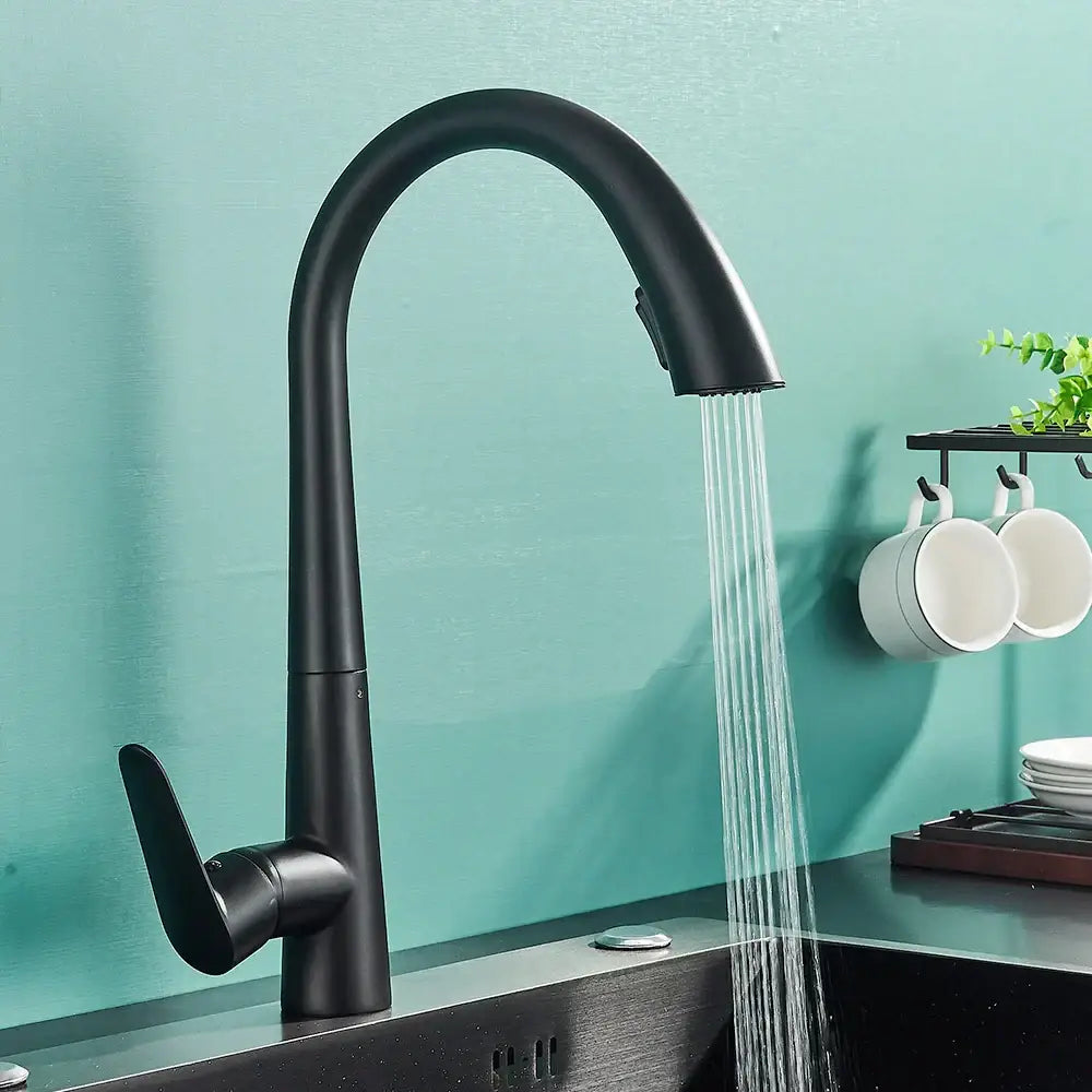 Black Single Lever Sprayer Faucet