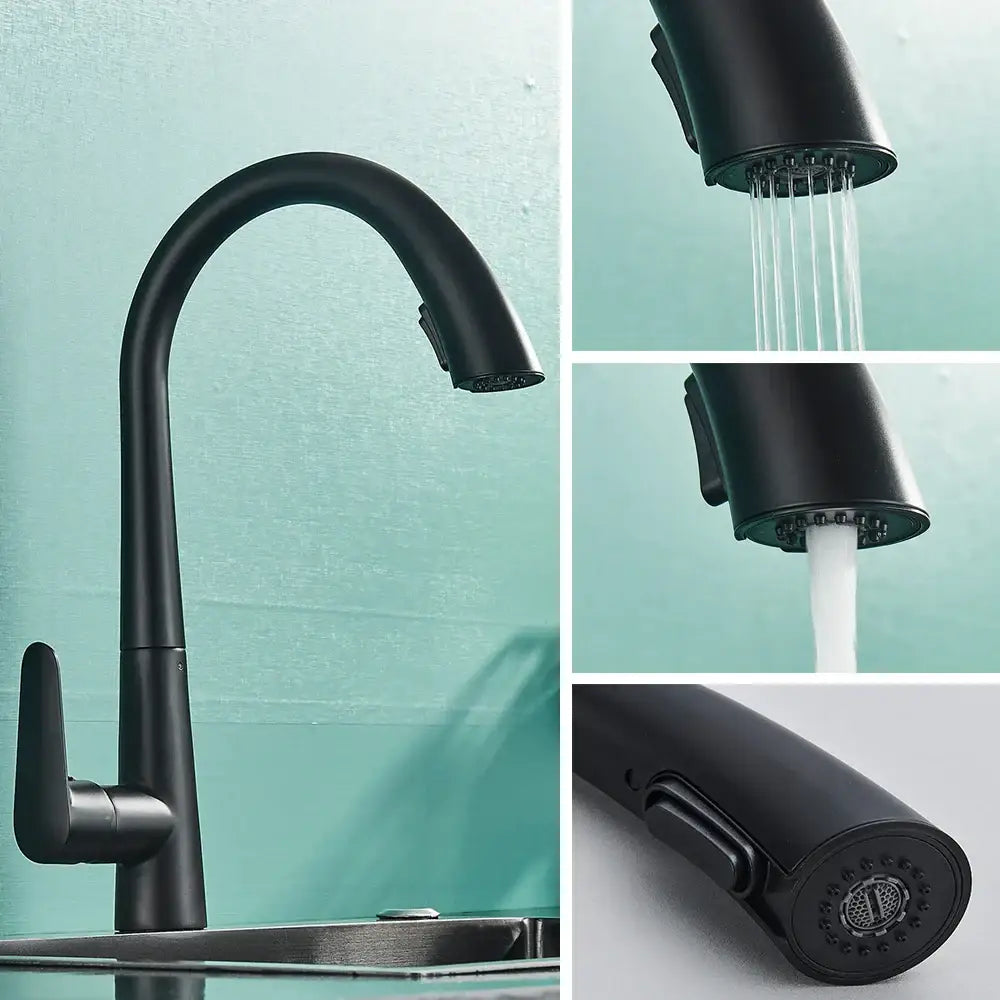 Black Single Lever Sprayer Faucet
