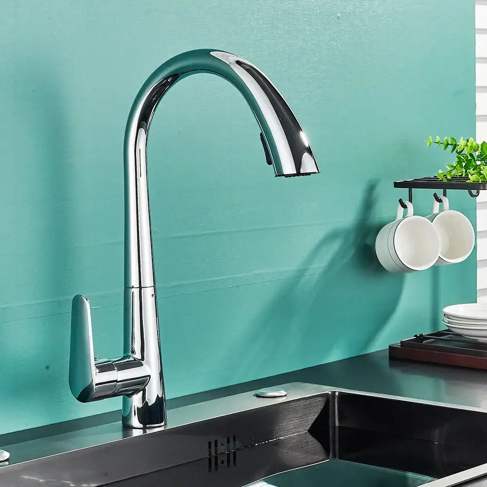 Black Single Lever Sprayer Faucet