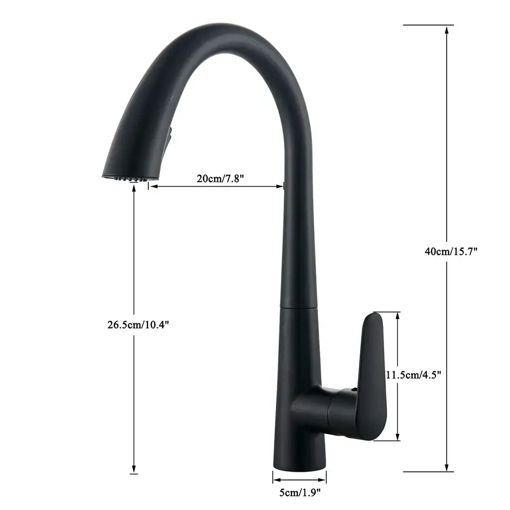 Black Single Lever Sprayer Faucet