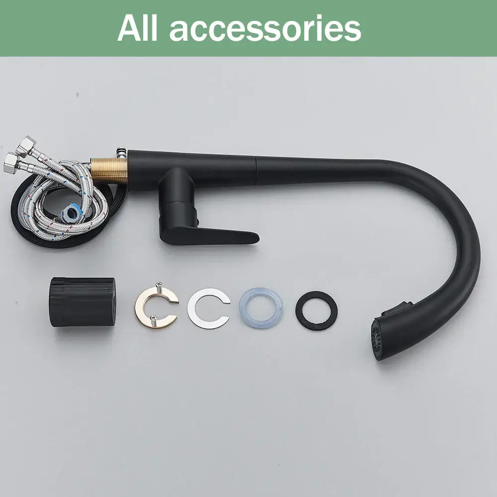 Black Single Lever Sprayer Faucet
