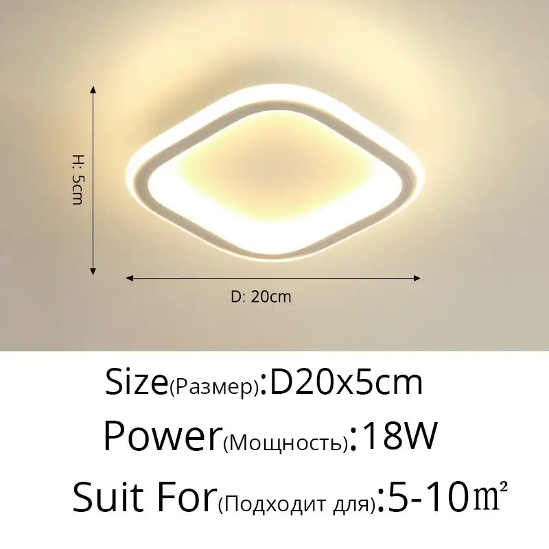 Black Round LED Ceiling Light