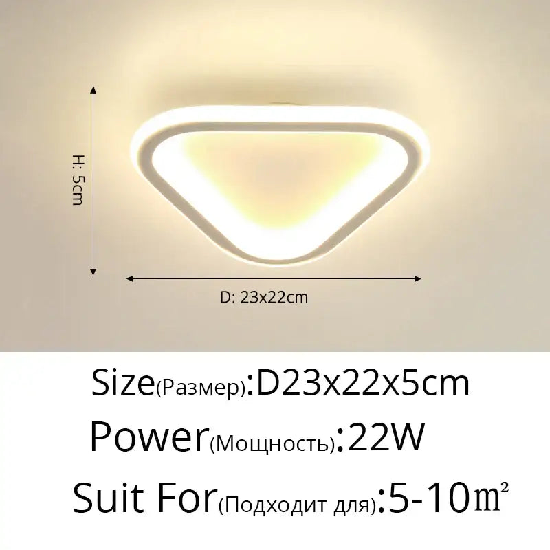 Black Round LED Ceiling Light