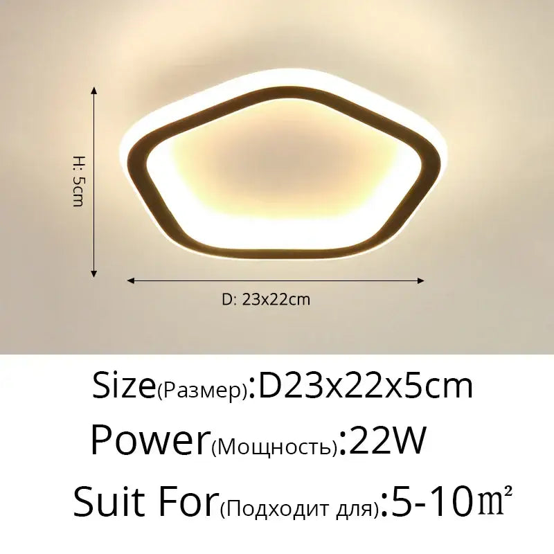Black Round LED Ceiling Light