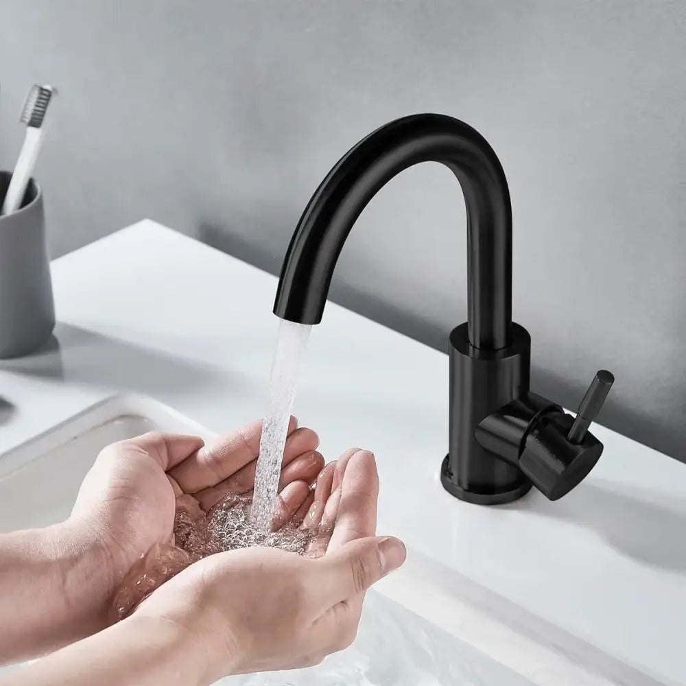 Black Stainless Kitchen Faucet