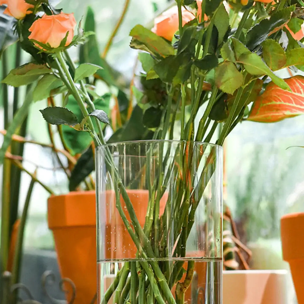 Acrylic Hurricane Flower Vase