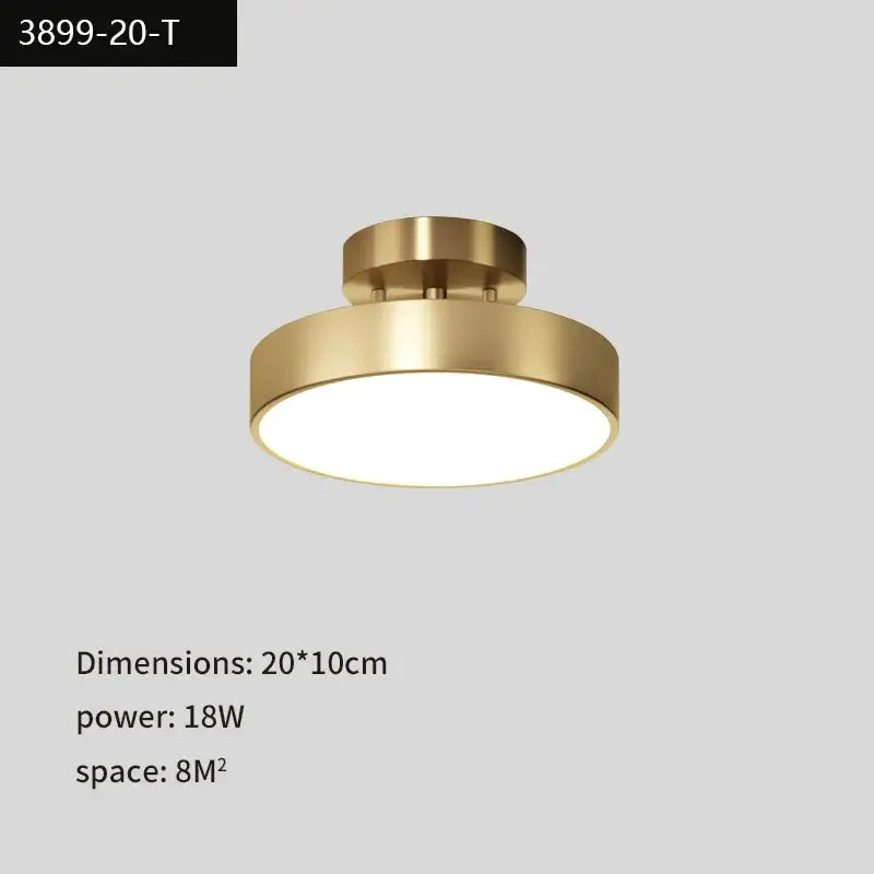 Copper LED Ceiling Lamp