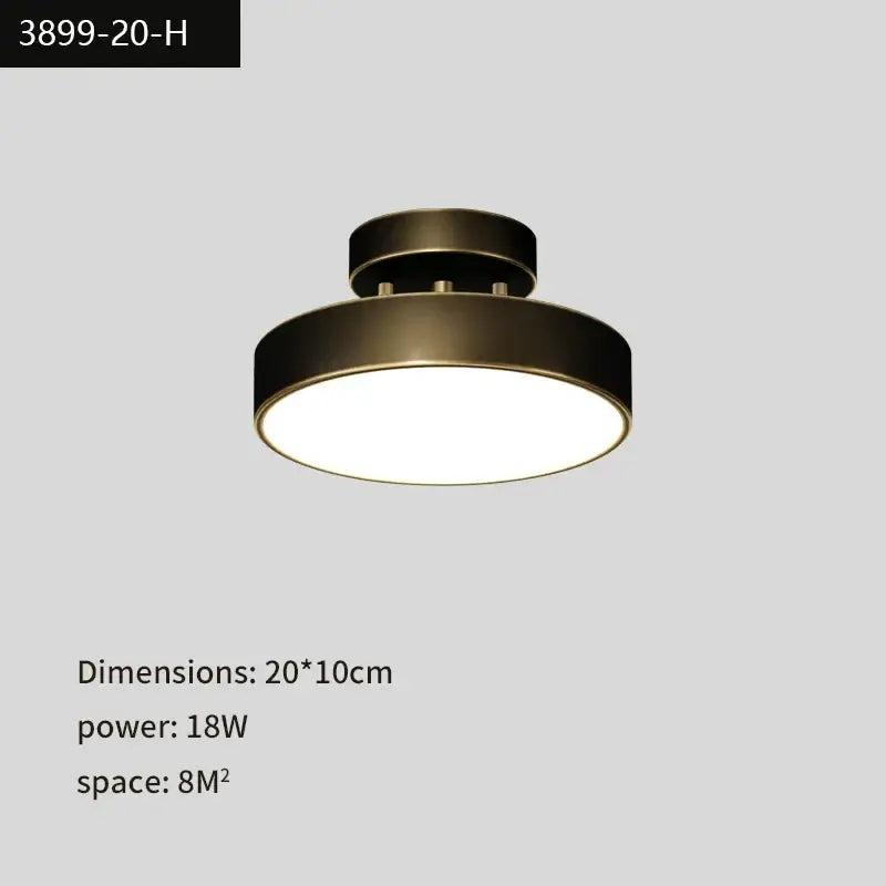 Copper LED Ceiling Lamp
