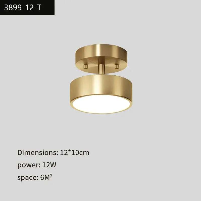 Copper LED Ceiling Lamp