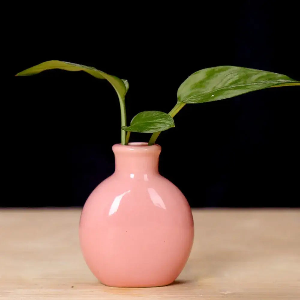 Mini Ceramic Vase Set