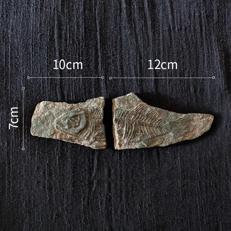 Resin Fossil Fridge Stickers