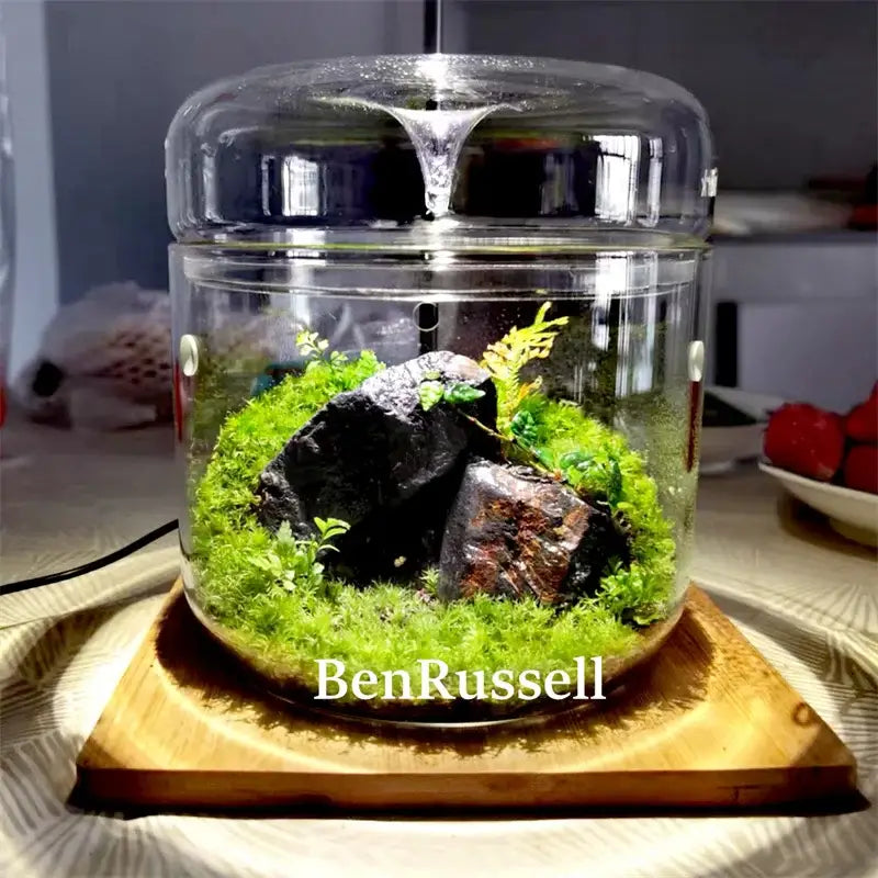 Glass Moss Terrarium Vase