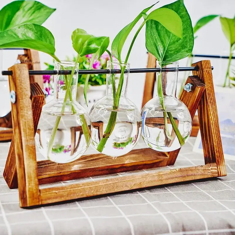 Wood Glass Propagation Vase