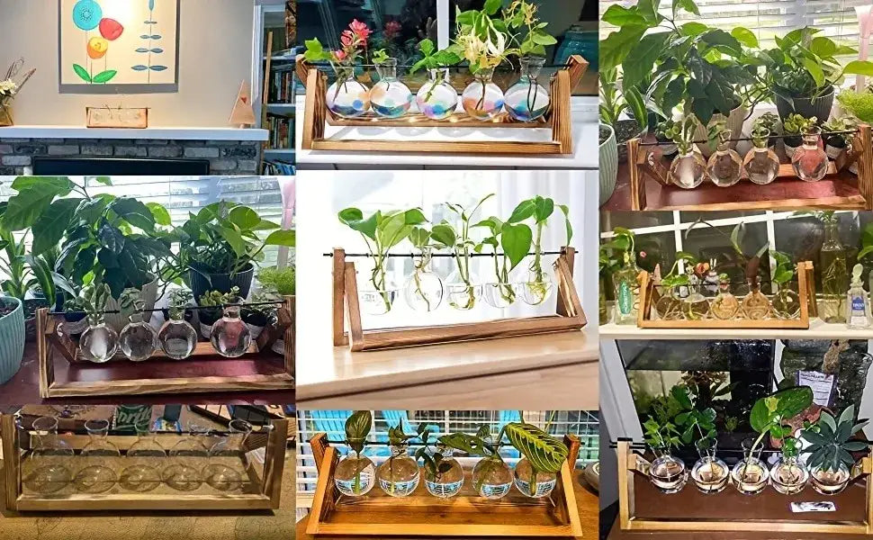 Wood Glass Propagation Vase