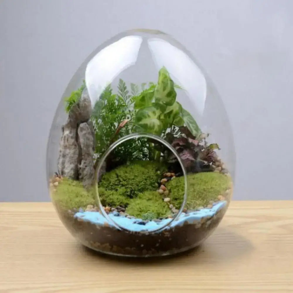 Glass Egg Terrarium Vase