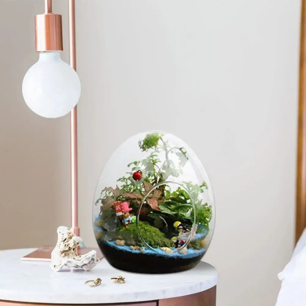 Glass Egg Terrarium Vase