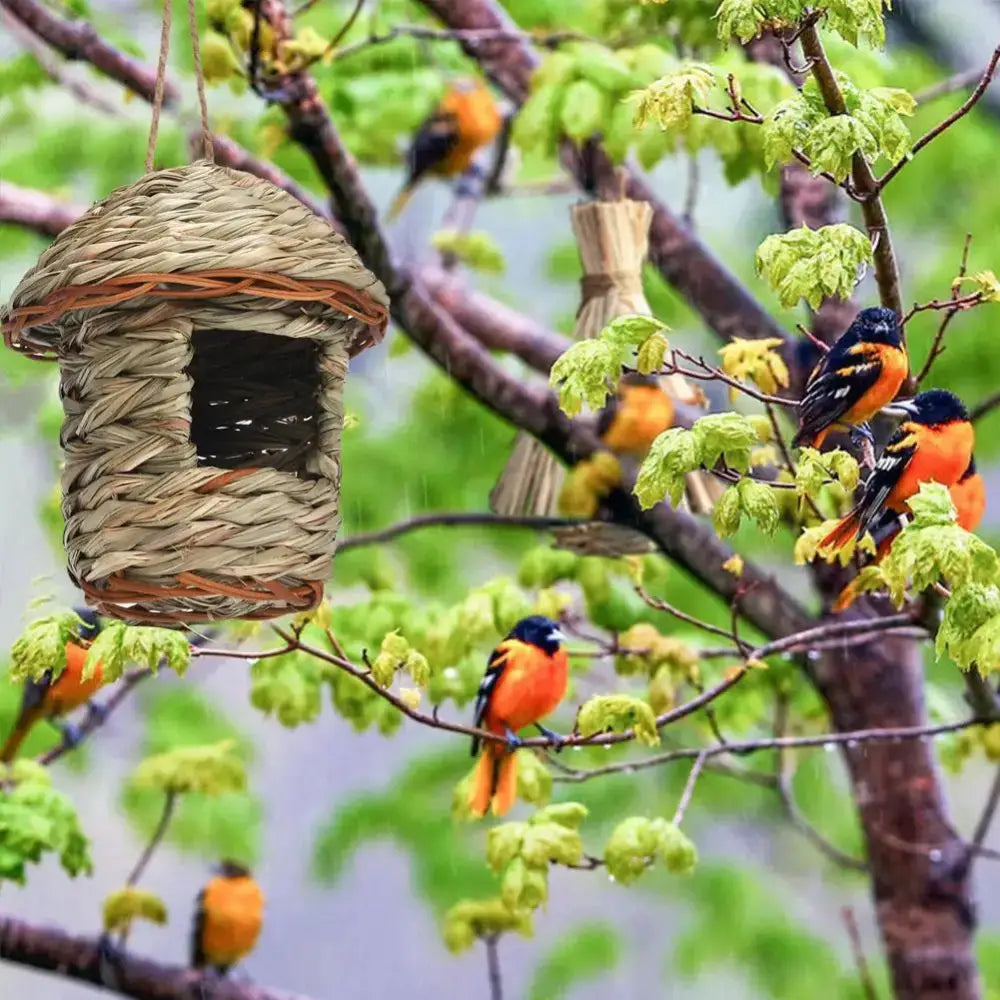 Straw Hanging Bird Nest