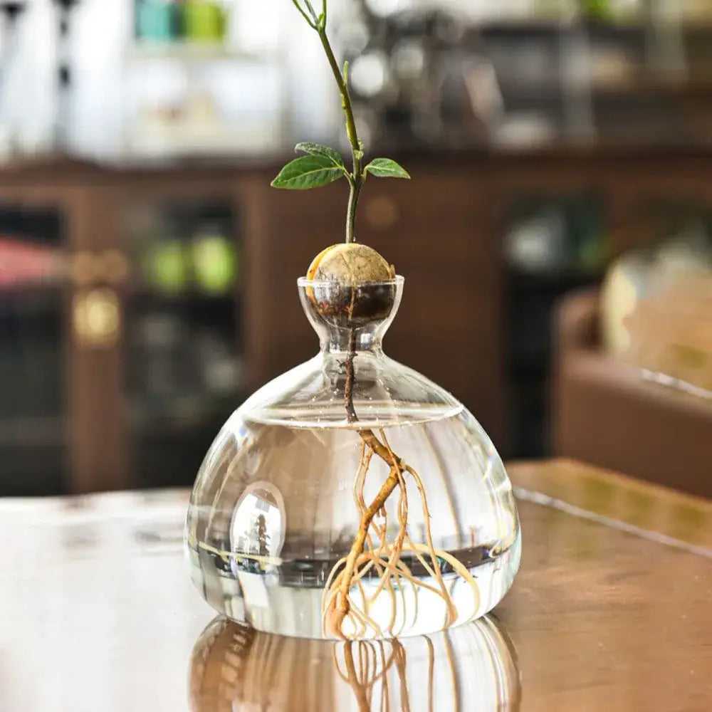 Clear Glass Avocado Vase