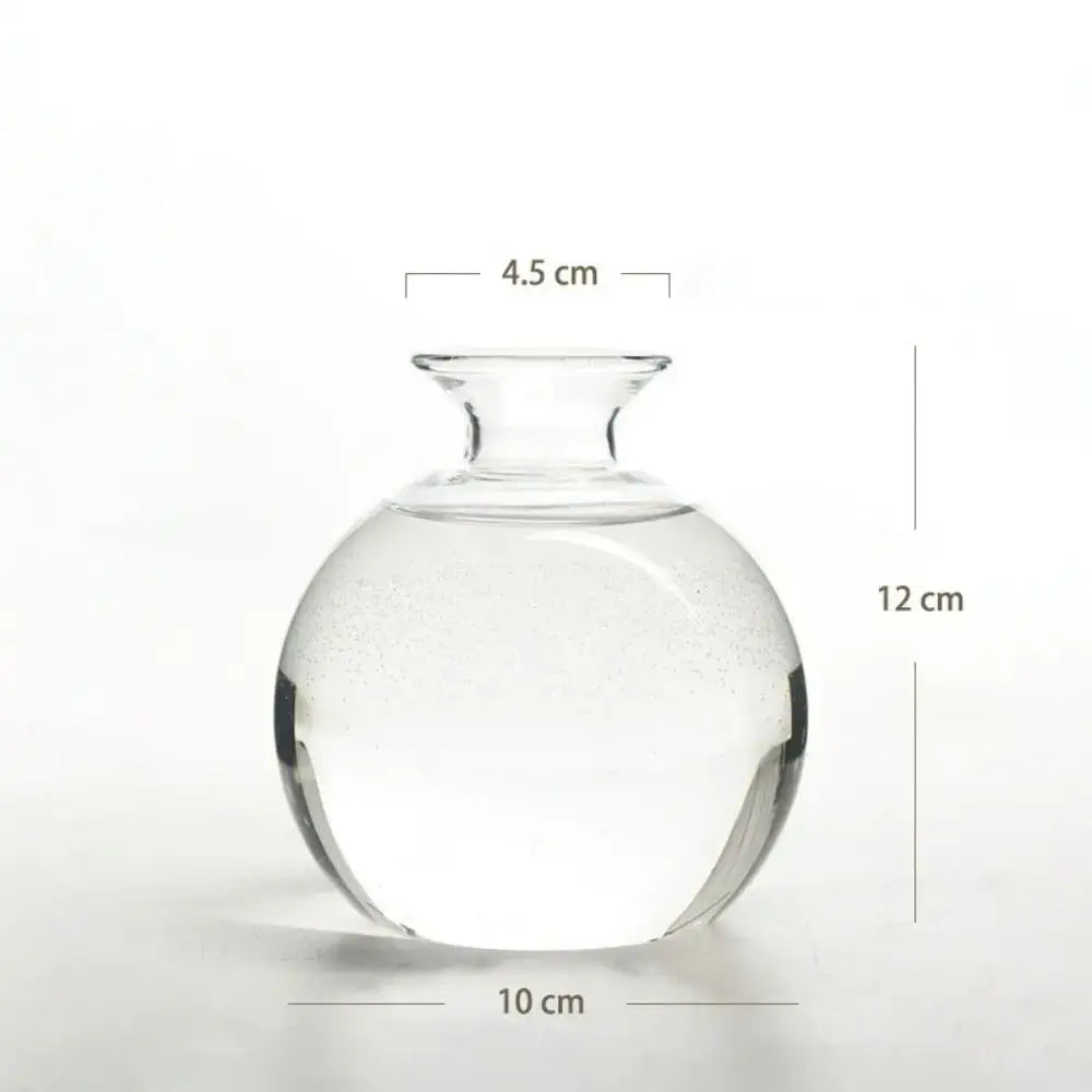 Clear Glass Avocado Vase
