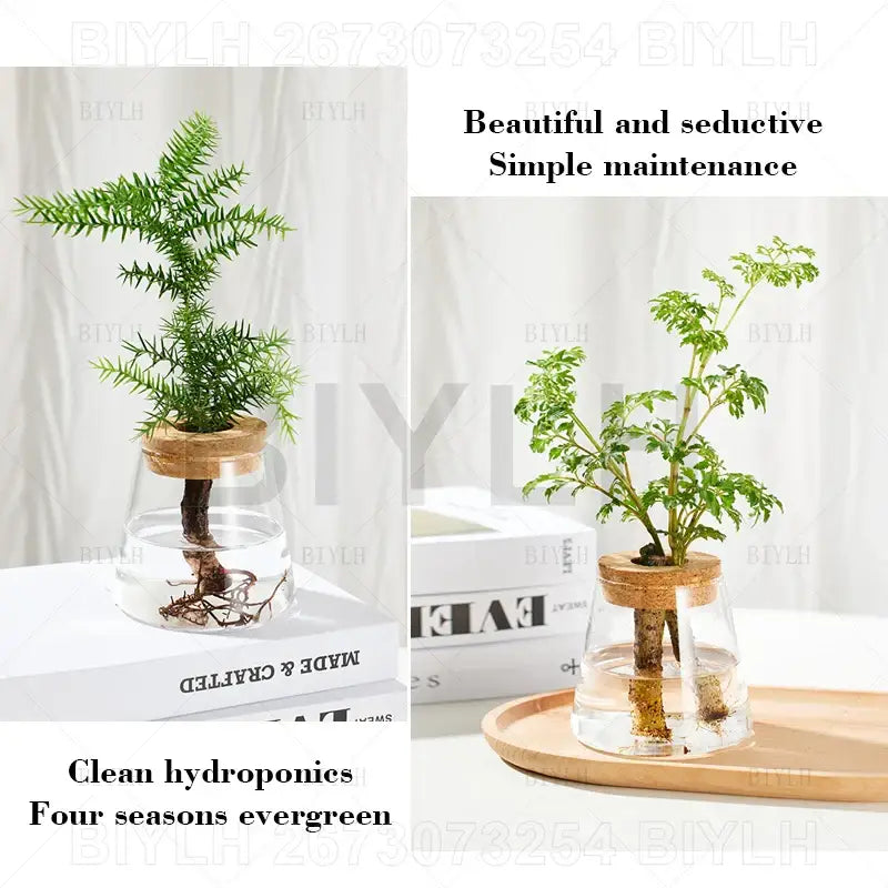 Glass and Wood Planters