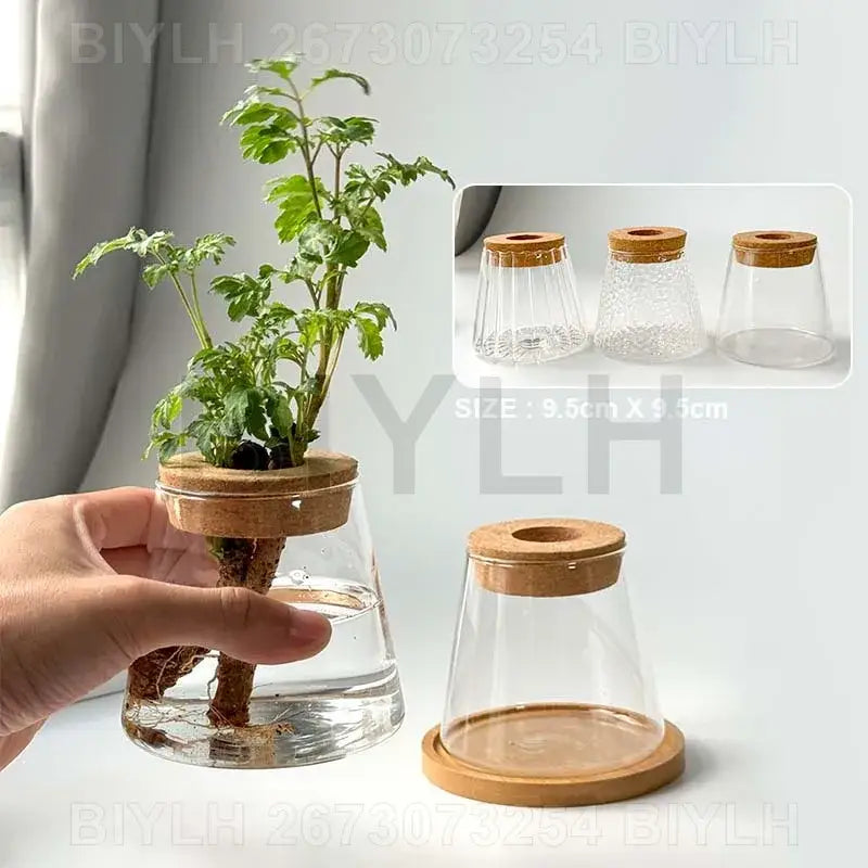 Glass and Wood Planters